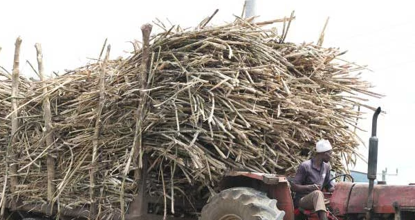 Farmers Against Chemelil, Muhoroni Sugar Companies Merger Proposal