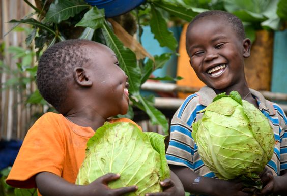 children carrying cabbage