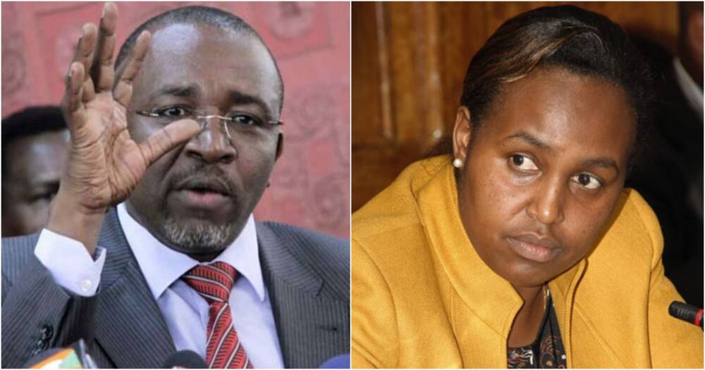A side-by-side image of Agriculture CS Mithika Linturi and Aldai MP Marianne Kitany.