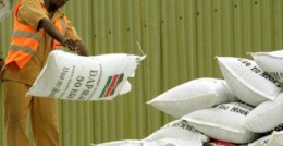 Bungoma County to disburse subsidized maize seeds and fertilizers