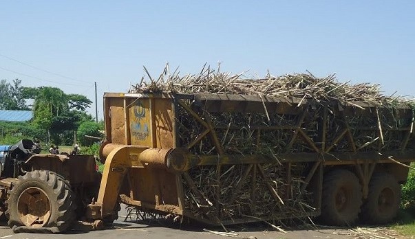 Sugarcane Farmers, Staff To Be Paid Kes 6.94 Billion
