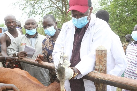 County To Vaccinate  200,000 Animals Against Contagious Diseases