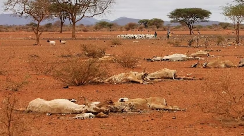 The failure of rainfall for the sixth rainy season has led to drought and famine crises in Africa, especially in the horn of Africa and more so parts of Kenya.