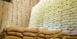 White Maize From Mozambique To Land In Kenya