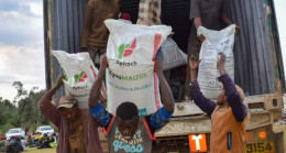 County Spends Kes700M To Subsidize Farm Inputs