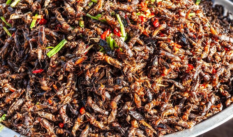 Snake hearts, fried termites, fried grasshoppers, fried spiders, and expired eggs, are among the most strange foods/dishes that people consume around the World