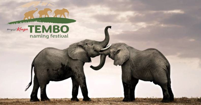 Tembo naming festival