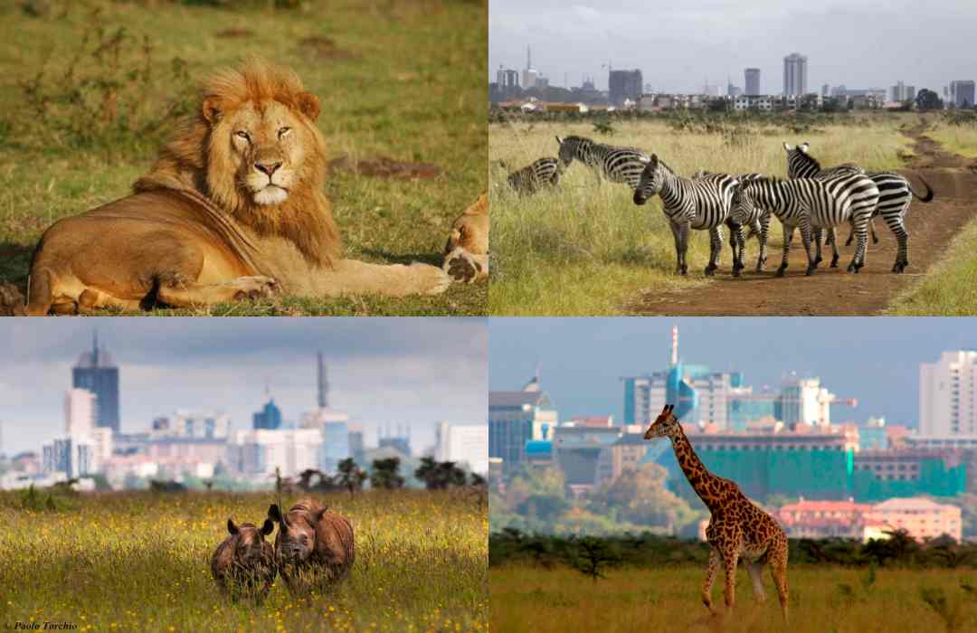 fun places in Nairobi