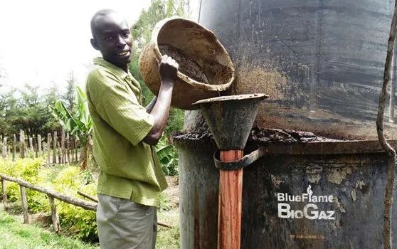 Ministry To Build Cow Dung Biogas Plants In Twenty Counties