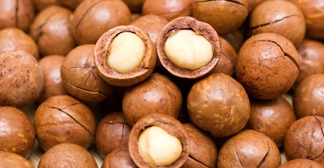 Macadamia Nuts Price Increases By Five Times To Kes 100