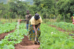 Gov’t registers over 4 million farmers in five months
