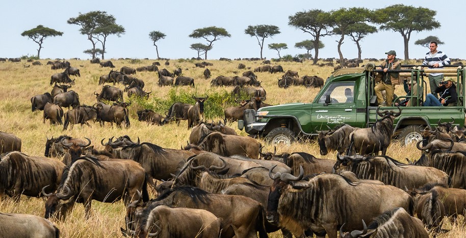 Use Of Private Vehicles  In Maasai Mara National Reserve Banned