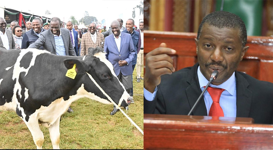 ‘You Were Agriculture Minister And Did Nothing,’ Senator Maanzo Tells President Ruto Over War Or 'Sugar Cartels'
