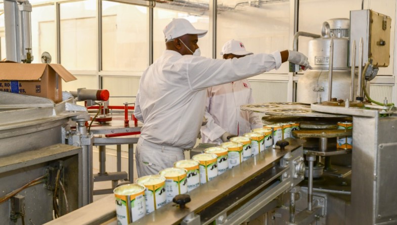 Ruto To Stop Importation Of Powdered Milk, Cement, Fish From China