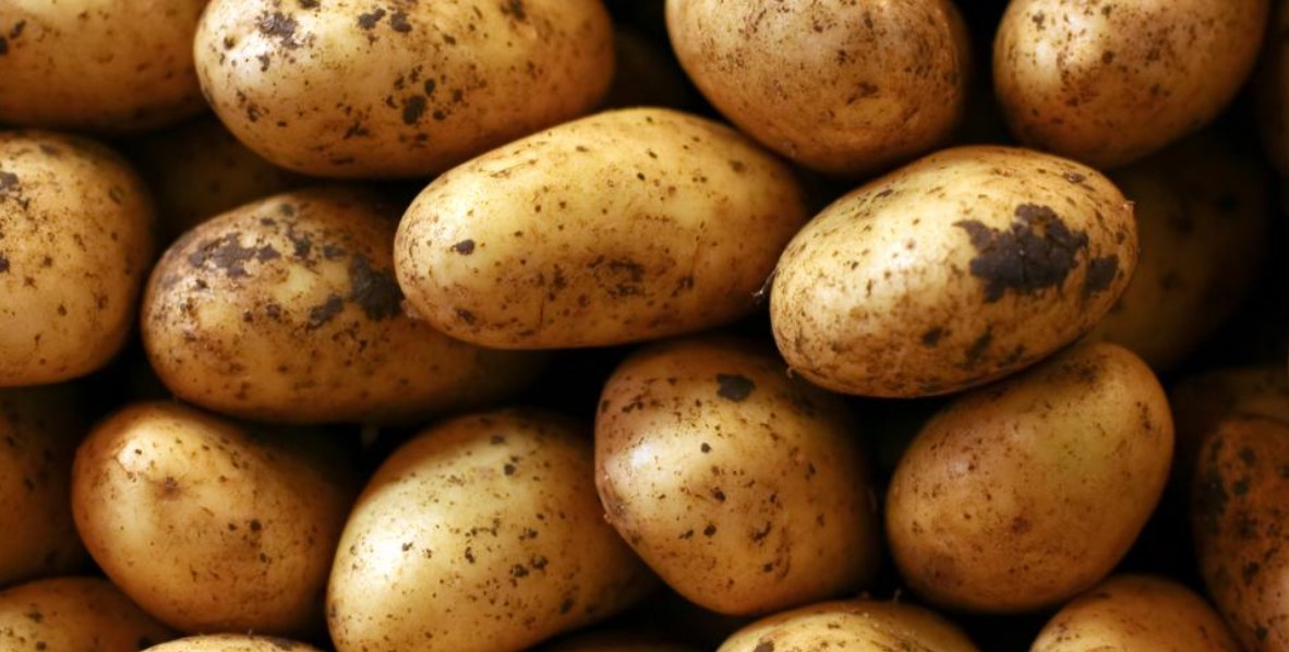 Potato Farmers Protest Exploitation By Middlemen In Marakwet