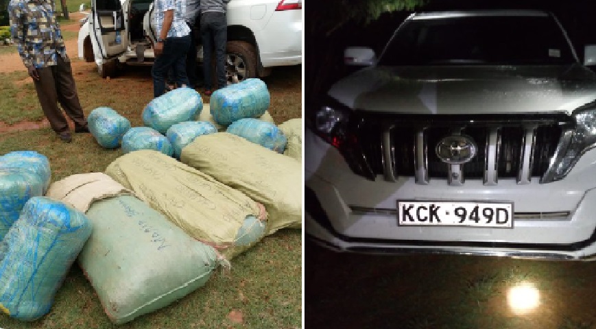 Bhang Worth Ksh. 11 Million Recovered