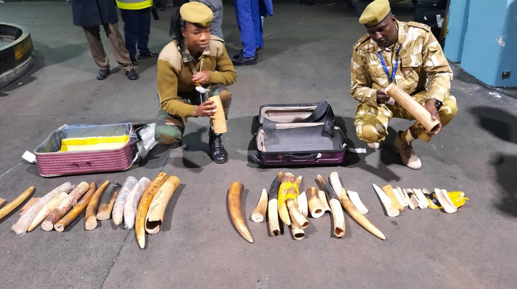 Indonesian Arrested With Kes 10M Ivory Stock  At JKIA