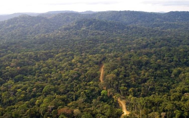 Taita Taveta County To Reforest 360,000 Hectares By 2032