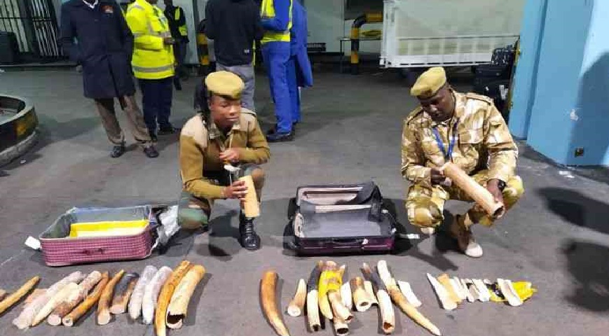 Indonesian Citizen Arrested At JKIA With Ivory