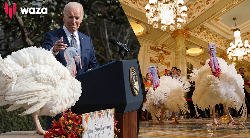 Joe Biden Pardons Two Turkeys As He Turns 81