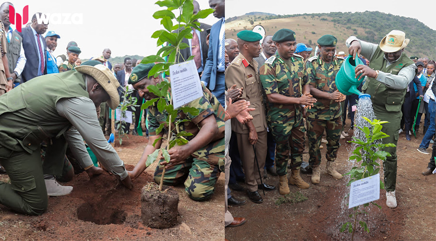 Gov't Targets To Plant 100M Trees On Monday Across All 47 Counties