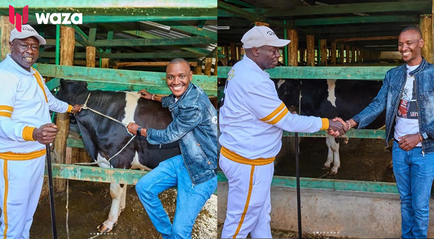 Samidoh gifts Rigathi Gachagua a cow named 'Wanjiku'
