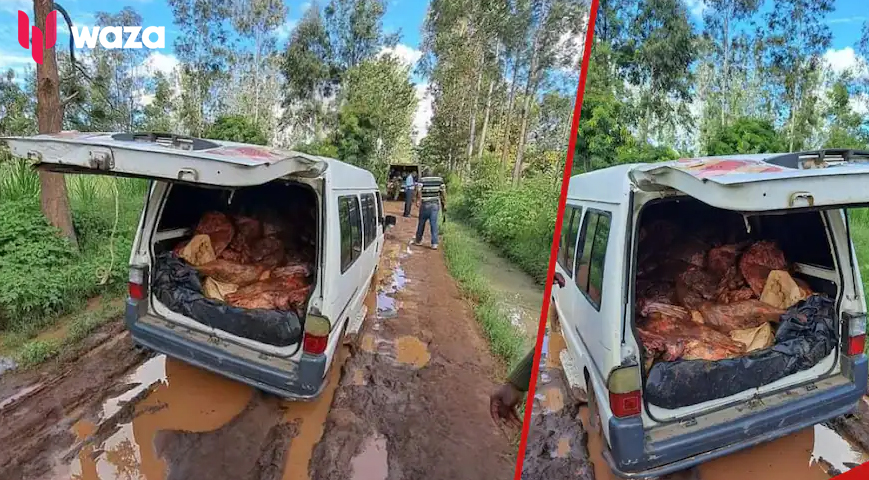 10 Suspects Arrested Transporting Donkey Meat To Nairobi's Shauri Moyo Market