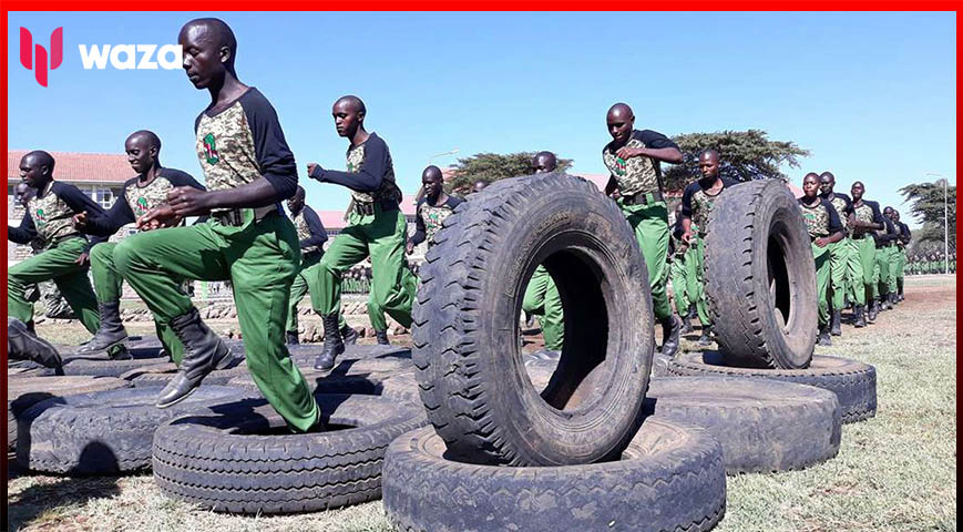 NYS Announces Nationwide Recruitment Of Volunteer Service Persons