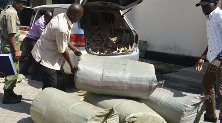 Man Caught Ferrying 7 Sacks Of Bhang On Boda Boda Arrested