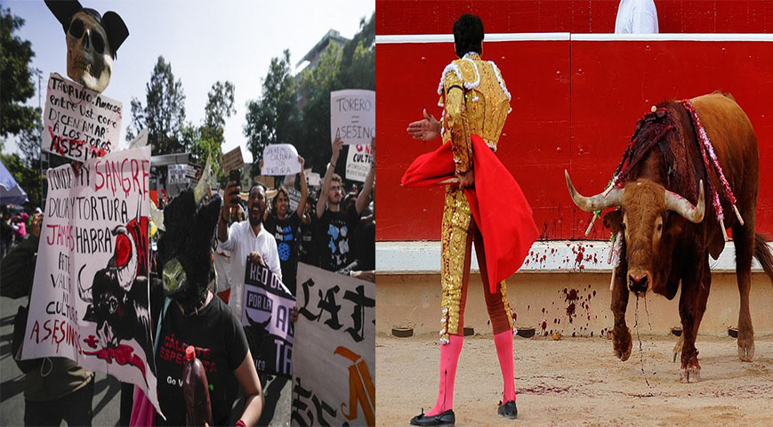Animal rights activists protest the return of bullfighting in mexico city