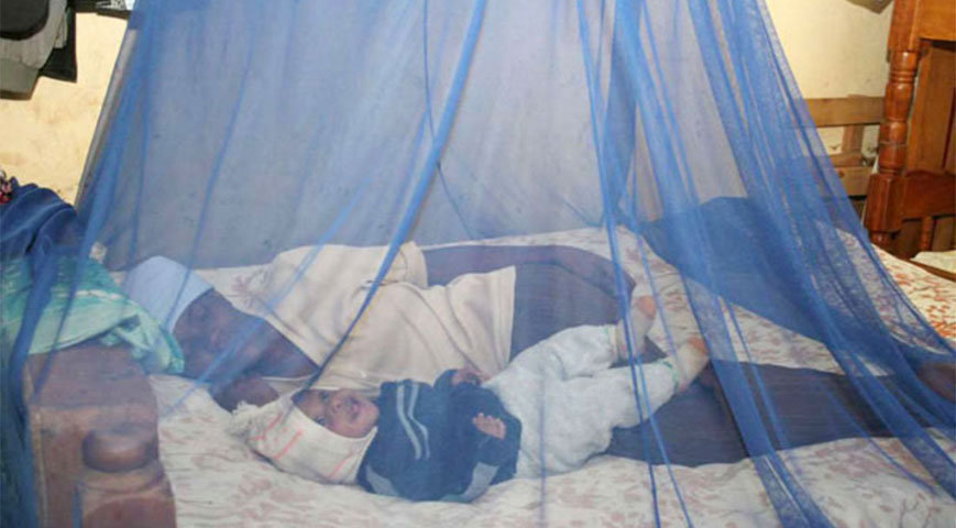Gov't To Distribute 15.3M Insecticidal Mosquito Nets To Counties