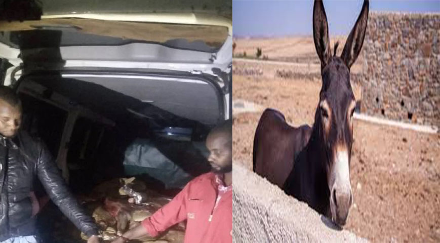 two men arrested transporting donkey meat
