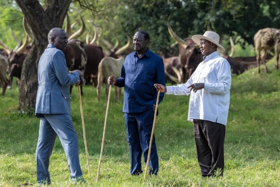 Raila Thanks Ruto, Museveni For Endorsing His AU Commission Bid