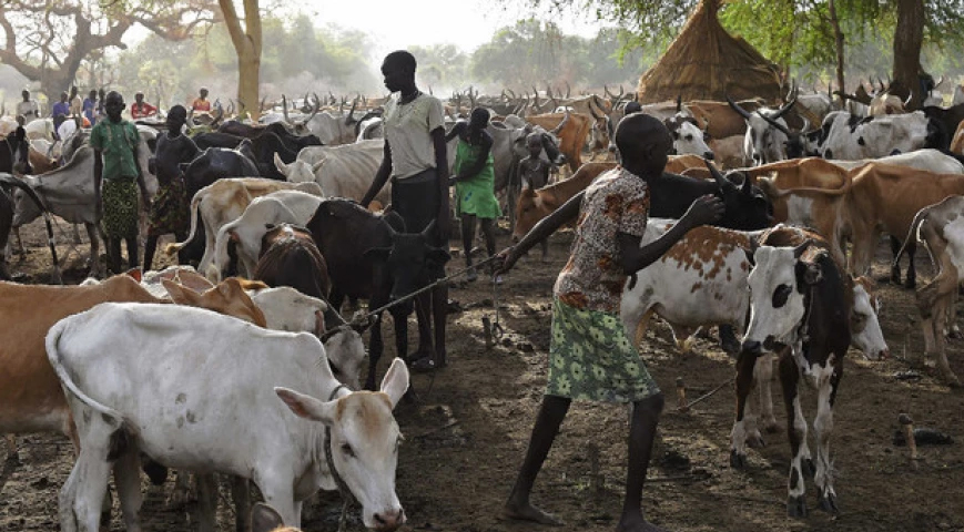 Clashes Between Cattle Herders In South Sudan Kill 39