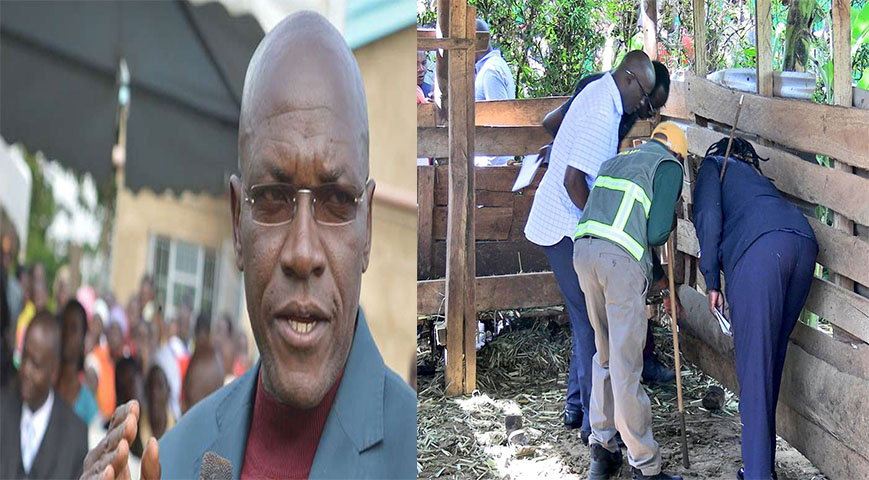 DCI Detectives Probing Death Of Boni Khalwale’s Bull Caretaker