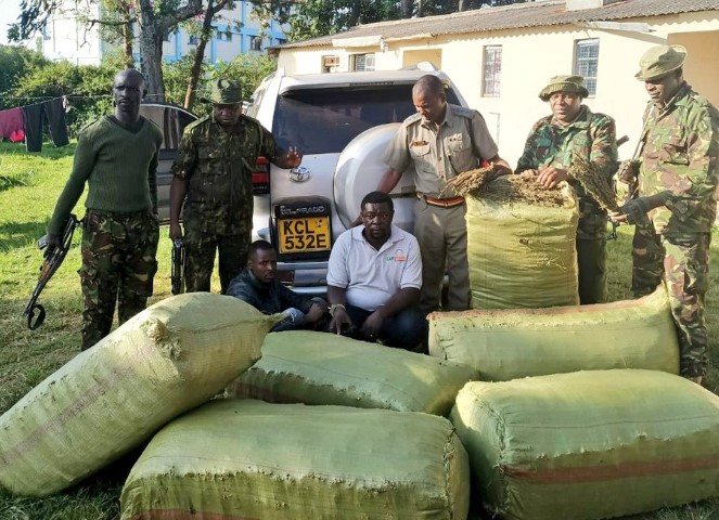 DCI Seizes Kes 9 Million Consignment Of Bhang In Migori