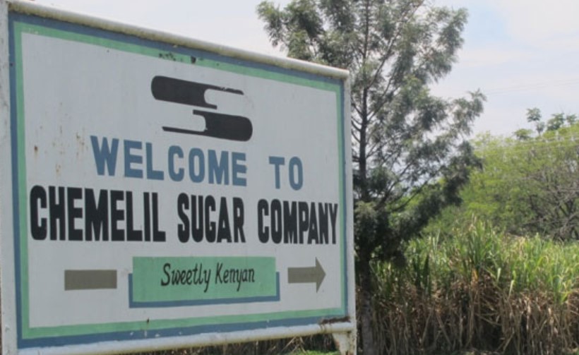Fire Destroys Kes 7.5M Sugar Cane At Chemilil Sugar Company