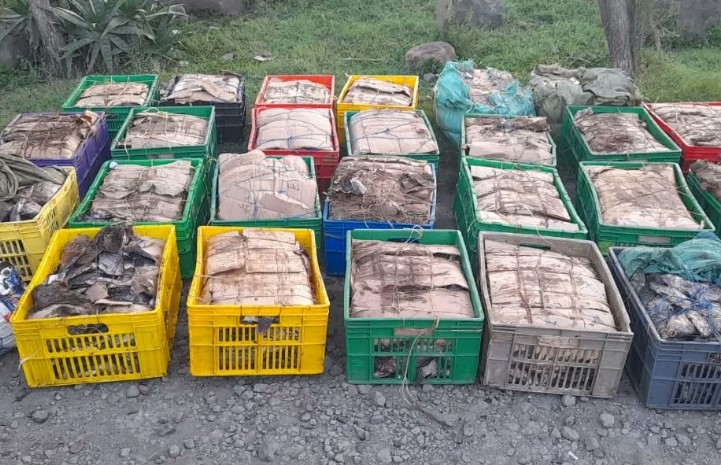 Authorities Arrest Suspect With 850kg Of Fish From Lake Nakuru
