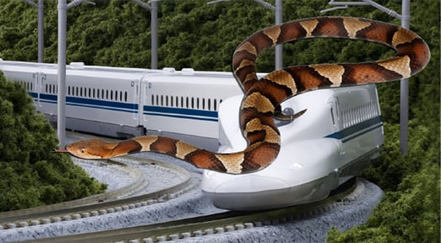 Snake on a train delays services