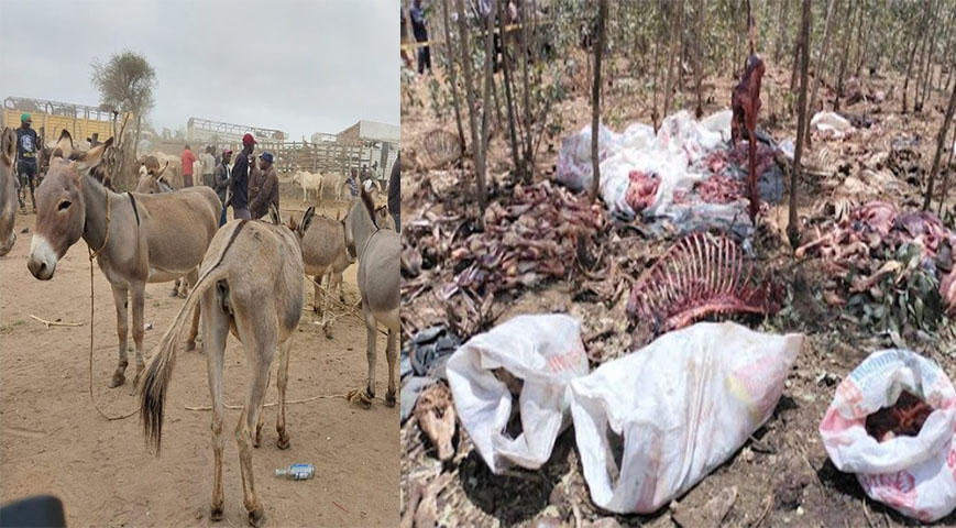 Four arrested for selling donkey meat