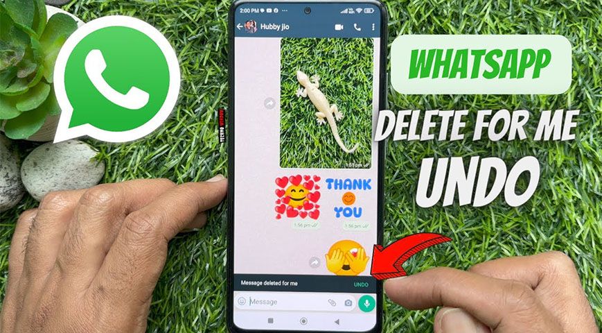 WhatsApp Now Lets You Undo ‘Delete For Me’