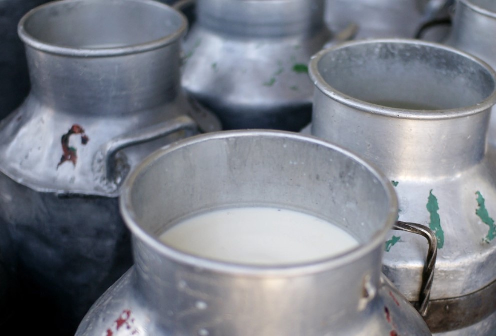 Nakuru  County Posts 318 Million Litres Of Milk Production