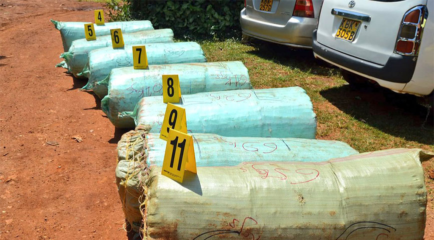 Police recover bhang worth 13 million