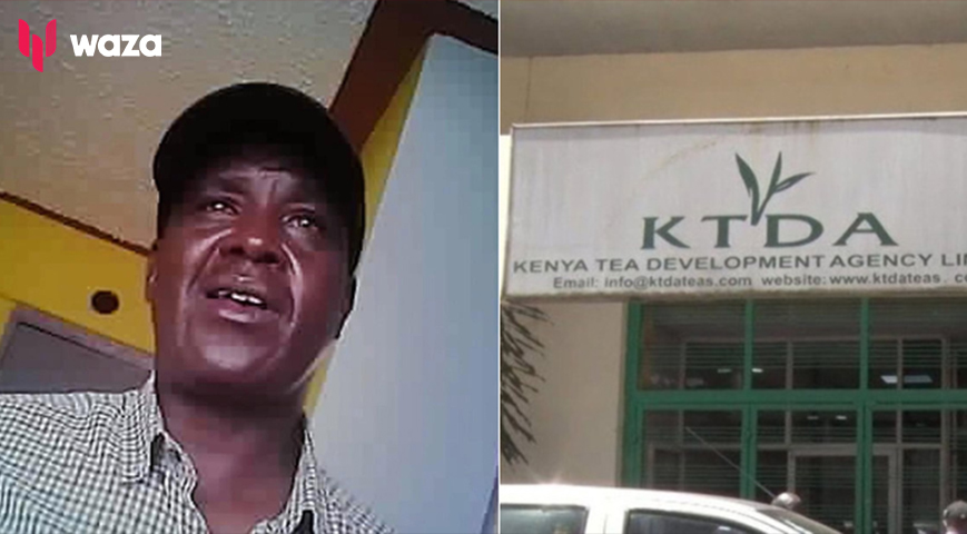 High Court Suspends Swearing-In Of John Chebochok As Director Of Toror Tea Factory