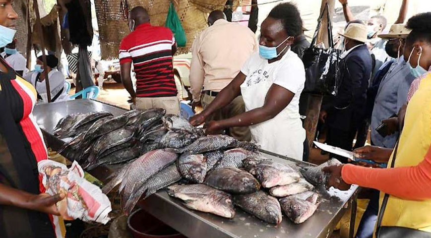 Fish and sardine preservation facility set up in Muhurubay