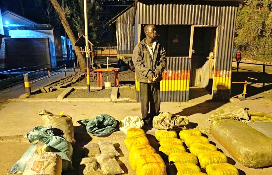 Police Arrest One Suspect, Kes 9.4M Bhang Seized In Machakos, Isiolo