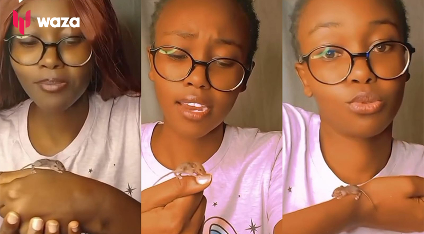 Kenyan Lady Adopts a Tiny Rat, Decides to Raise it as Her Own Child