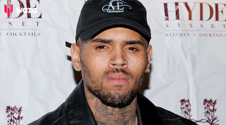 Chris Brown Sues Warner Bros For $500 Million Over Abuse Documentary